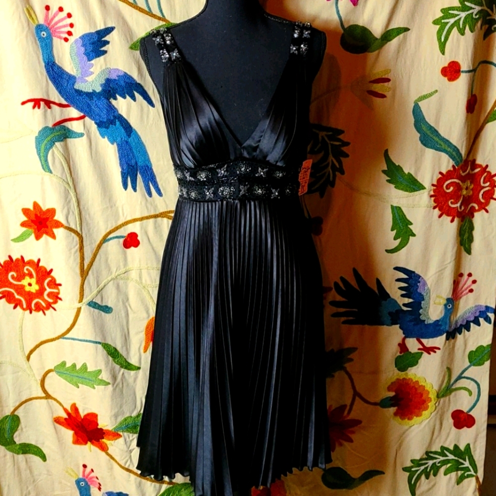 Formal Elegant Black Pleated Sheer Middrift